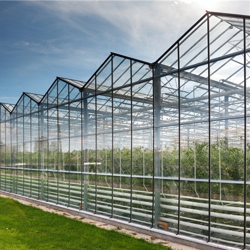 哪里买玻璃温室——玻璃温室大棚的建造——玻璃温室大棚施工——华亮连栋玻璃温室大棚公司