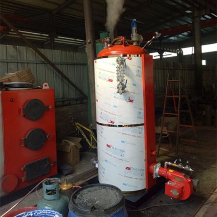 热销 小型蒸汽发生器 利雅路锅炉 0.5吨蒸汽发生器厂家