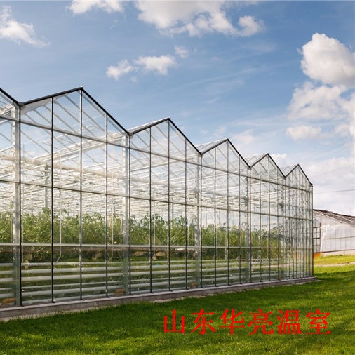 连栋玻璃温室特点，智能玻璃温室大棚建造与简介，