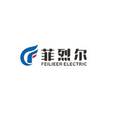 上海菲烈尔电气有限公司