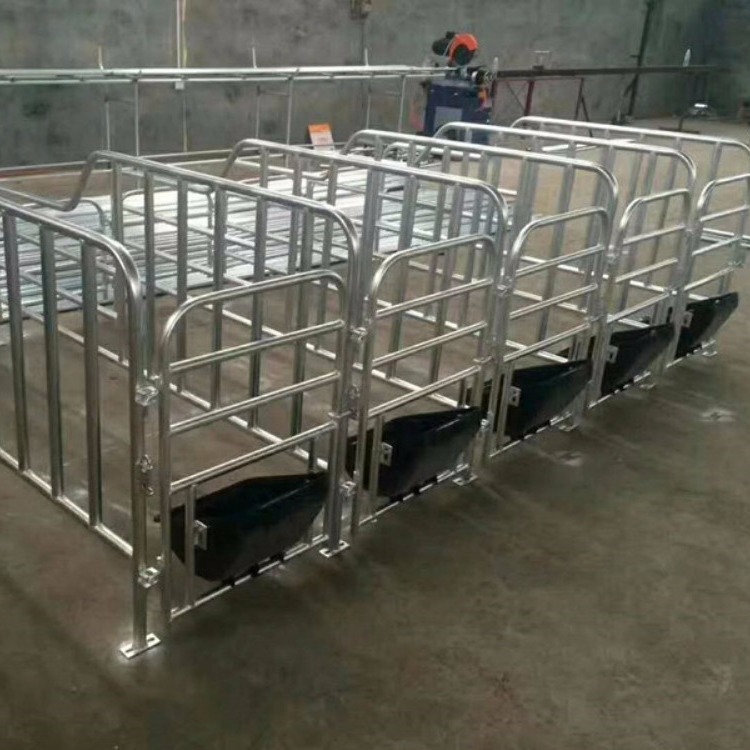 广建 母猪产床定位栏猪产床保育床限位栏定位栏 养猪设备