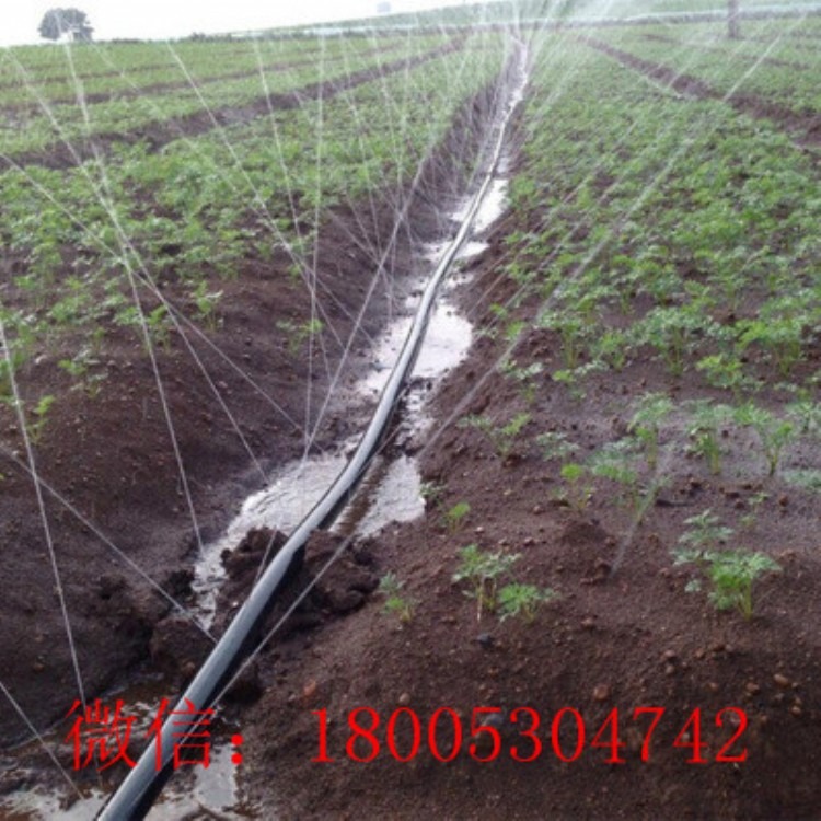 宁夏厂家直销微喷带 农用蔬菜大棚节水灌溉喷水带 园林环保用喷灌带