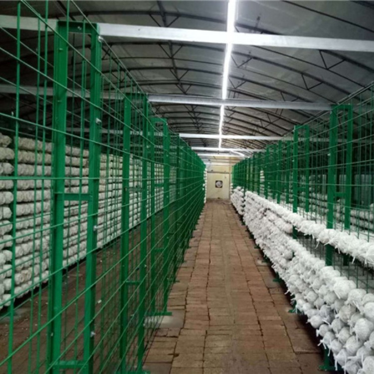 种植蘑菇网架价格蘑菇网架厂家