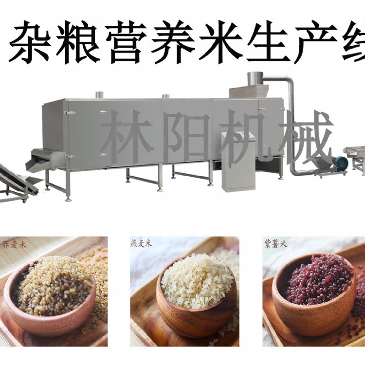 营养米 黄金米  杂粮米生产线