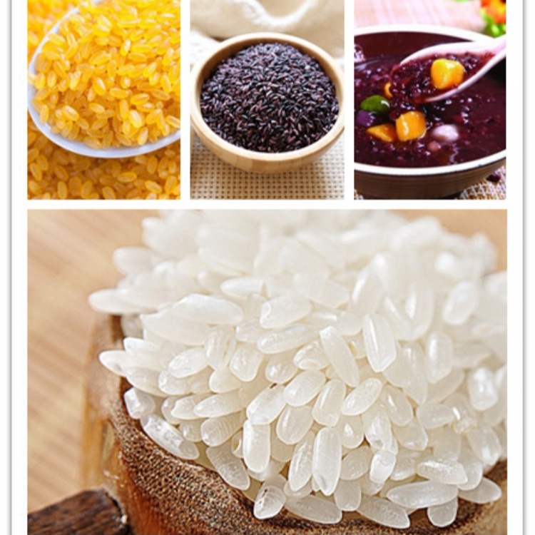 鑫贝发 济南优质人造米生产线 人造米设备 营养米生产机械