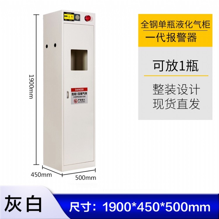 实验室单瓶气瓶柜标准尺寸 郑州诚志QPG气瓶柜 全钢气瓶柜报警