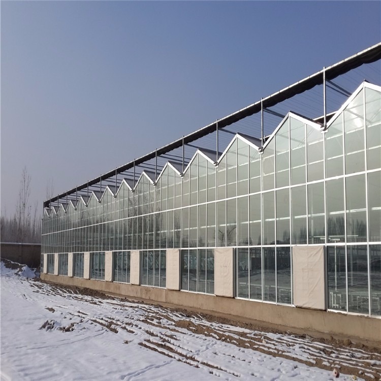 阳光板温室大棚 智能阳光板温室价格 智能温室大棚造价 辉腾温室