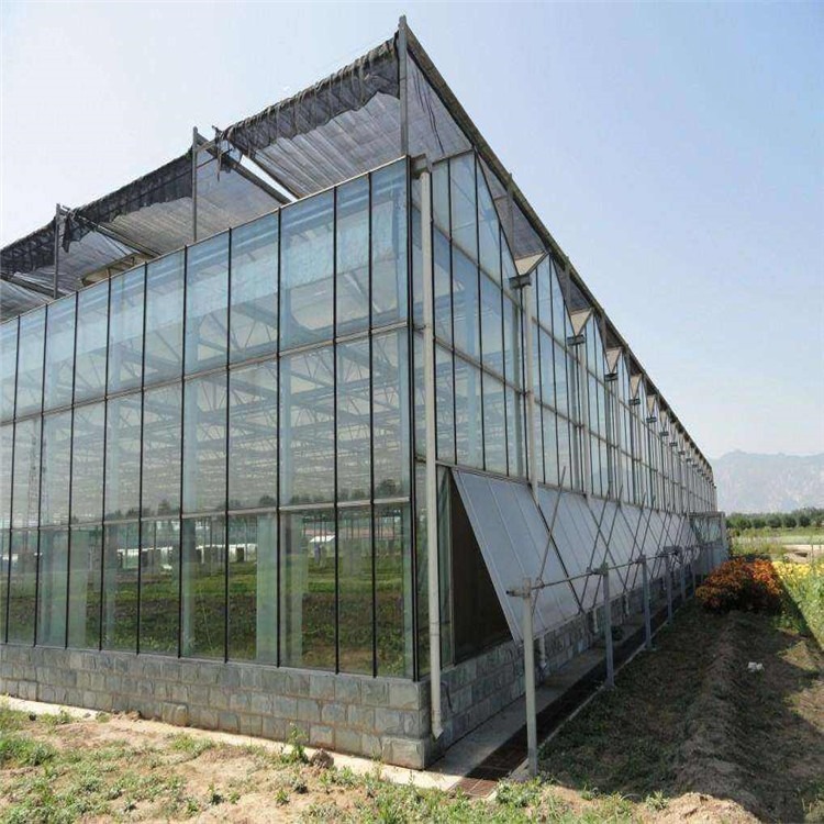 智能型温室大棚 现代农业大棚 智能型花卉温室建设 辉腾温室