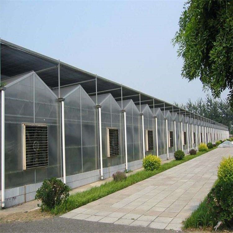 中空玻璃温室 中空玻璃大棚造价 文洛温室施工组织设计 辉腾温室