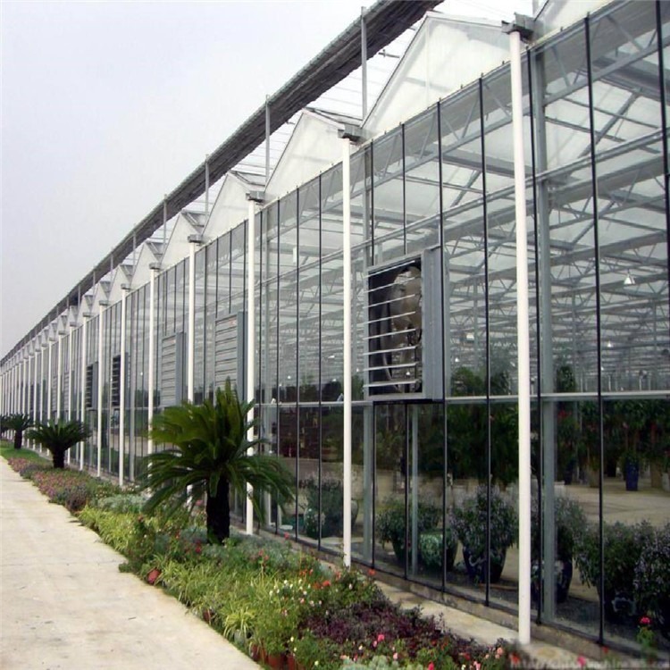 玻璃温室价格 玻璃温室厂家 温室大棚工程
