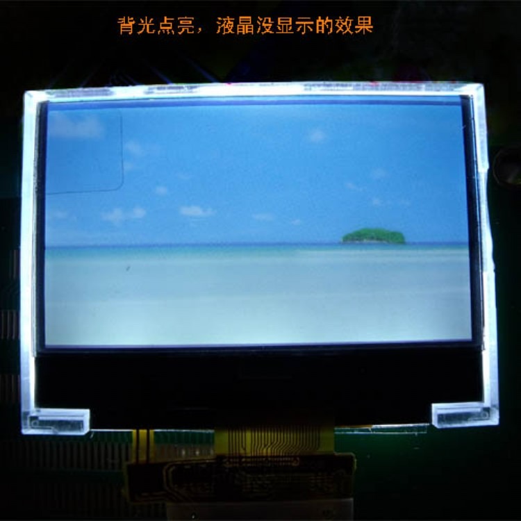 厂家现货供应1.8寸单色LCD液晶显示屏128*64图形点阵COG结构，