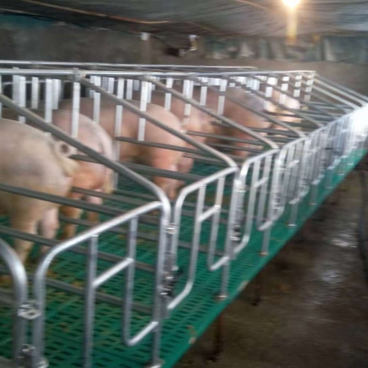 复合仔猪产床厂家供应母猪双体分娩床小猪产床产保一体母猪产床