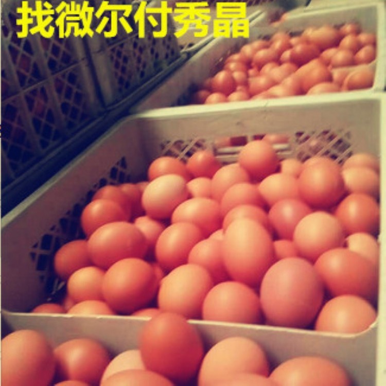 提高蛋壳品质中药壳红素有效制造商