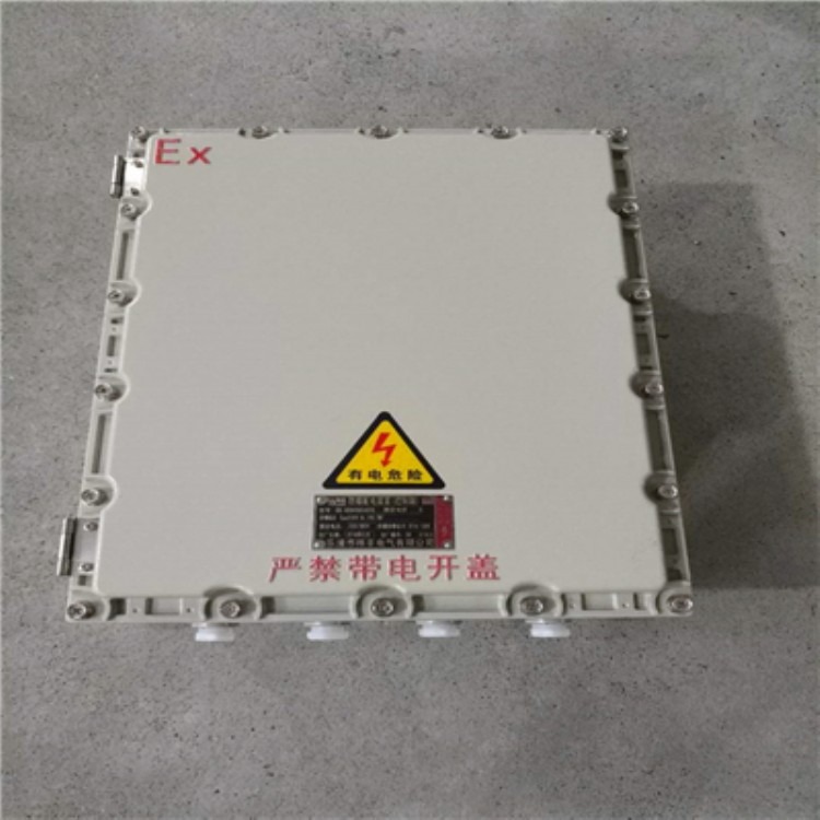  BJX铸铝200x135防爆接线箱端子分线盒过线盒消防安防防爆接线盒