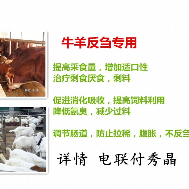 关于牛羊降低氨臭的产品反刍益生菌厂家报价