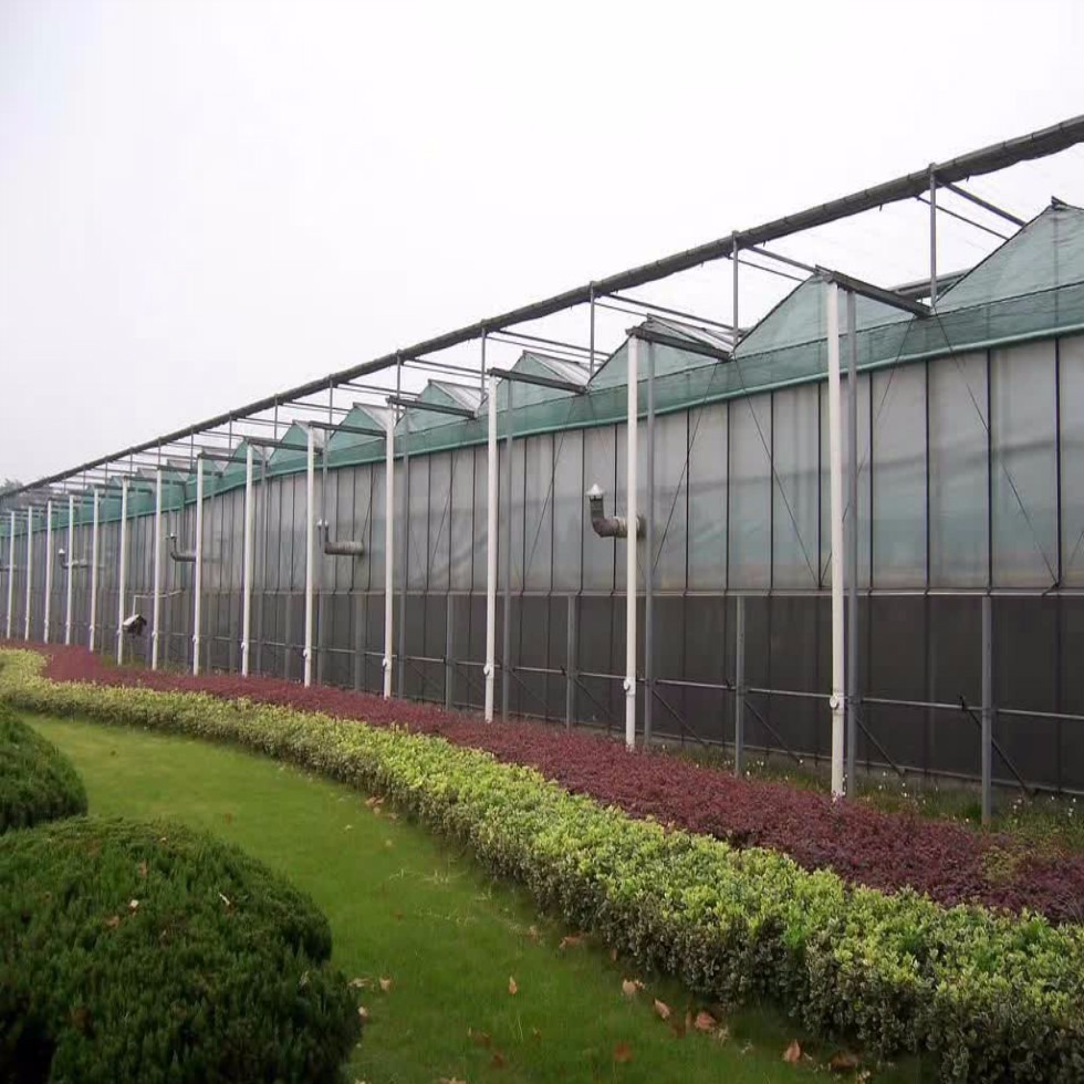 阳光板蔬菜温室大棚全国安装建造 PC中空阳光板种植温室大棚安装