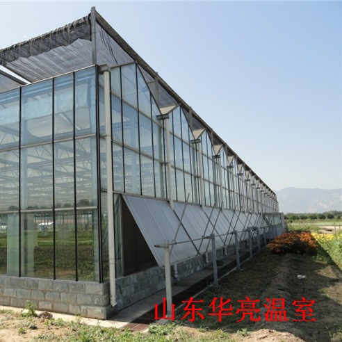 蔬菜玻璃温室——玻璃温室建造价格——山东华亮玻璃温室生产厂家