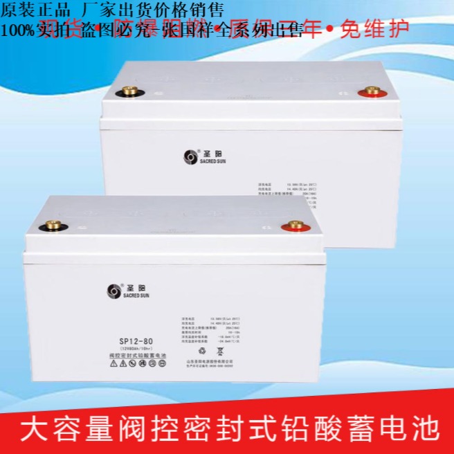 圣阳蓄电池（中国）有限公司