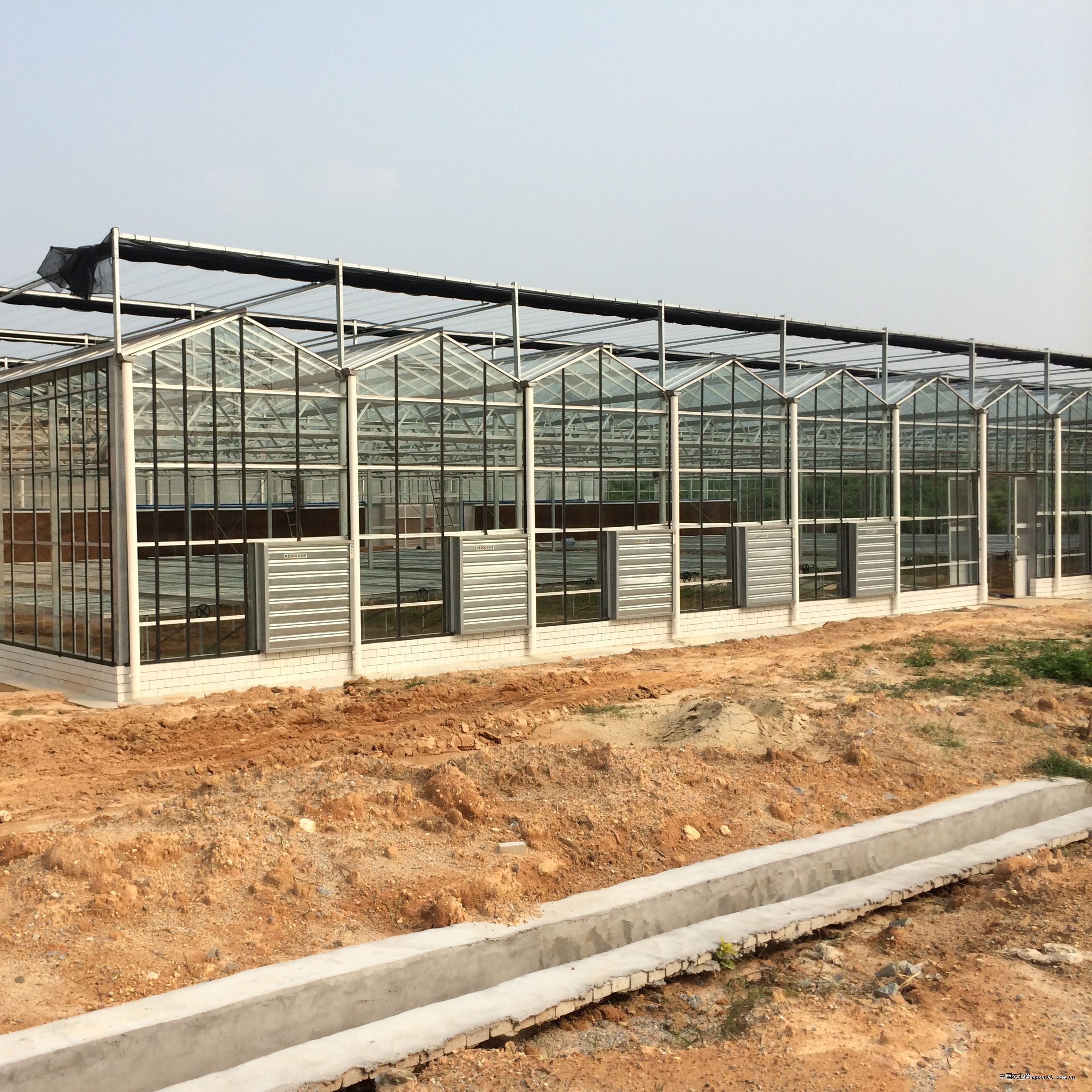 南京大奉玻璃温室大棚项目及报价-服务案例-元多丰温室工程-