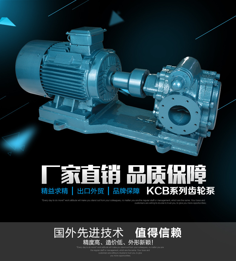 KCB300齿轮泵详情主图