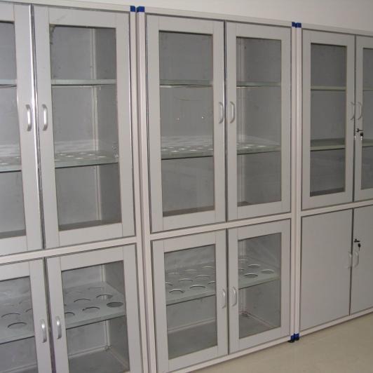  实验室专用储存柜，实验室专用柜，实验室安全柜，储存柜厂家  广州卓宇实验室专业定制
