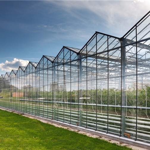 智能玻璃温室厂家——连栋玻璃温室报价——山东华亮温室大棚建设