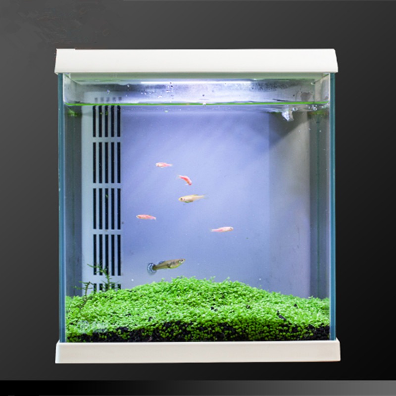 东莞工厂加工定制多功能鱼缸高清透明亚克力小型鱼缸 G-box能自动喂食水族箱 LED造景 懒人生态植物鱼缸 客厅摆景装饰