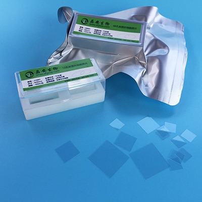 上海晶安J24001圆形防脱盖玻片 tc处理24孔板配套用细胞爬片 20mm方形盖玻片免疫荧光专用玻片