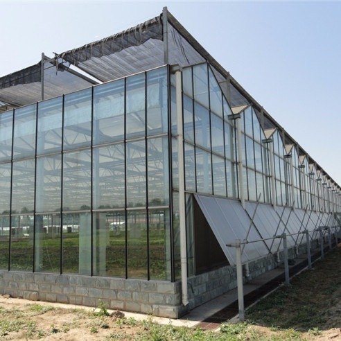 智能玻璃温室建造 山东温室大棚设计 连栋玻璃温室报价