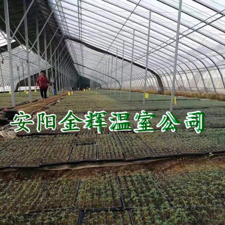 安阳金辉厂家建设20米宽镀锌带钢几字型钢架温室蔬菜大棚骨架