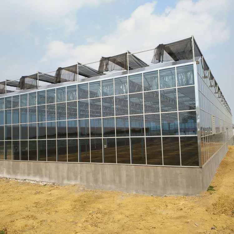 山东玻璃温室大棚厂家 玻璃大棚温室建造