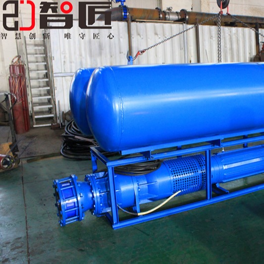 天津智匠泵业QJF浮筒/漂浮式潜水泵