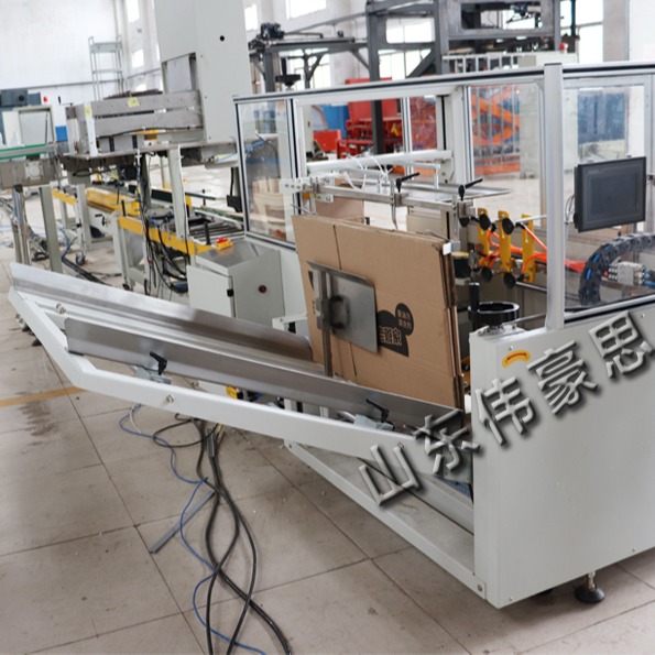 南宁硫酸钡溶液全自动装箱机 装箱码垛机设备生产企业