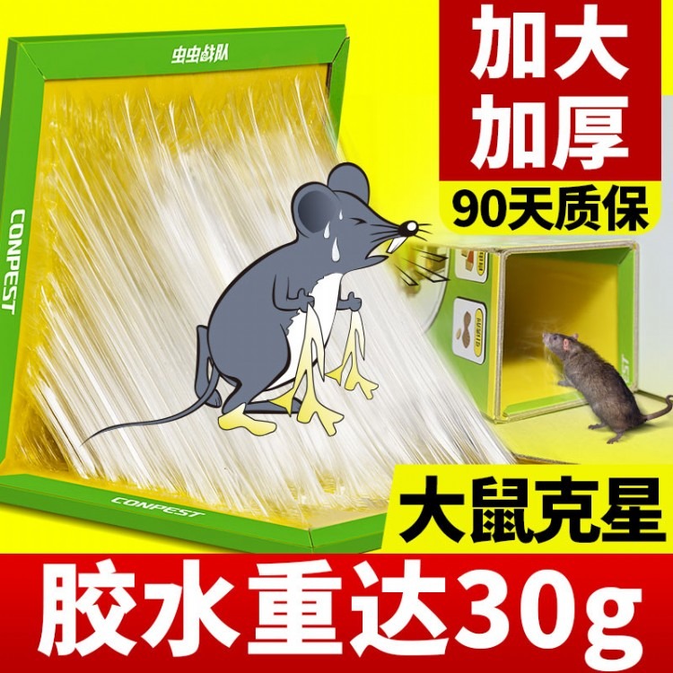 粘鼠板强力老鼠贴 驱鼠灭鼠器 捉大老鼠神器 捕鼠灭鼠药
