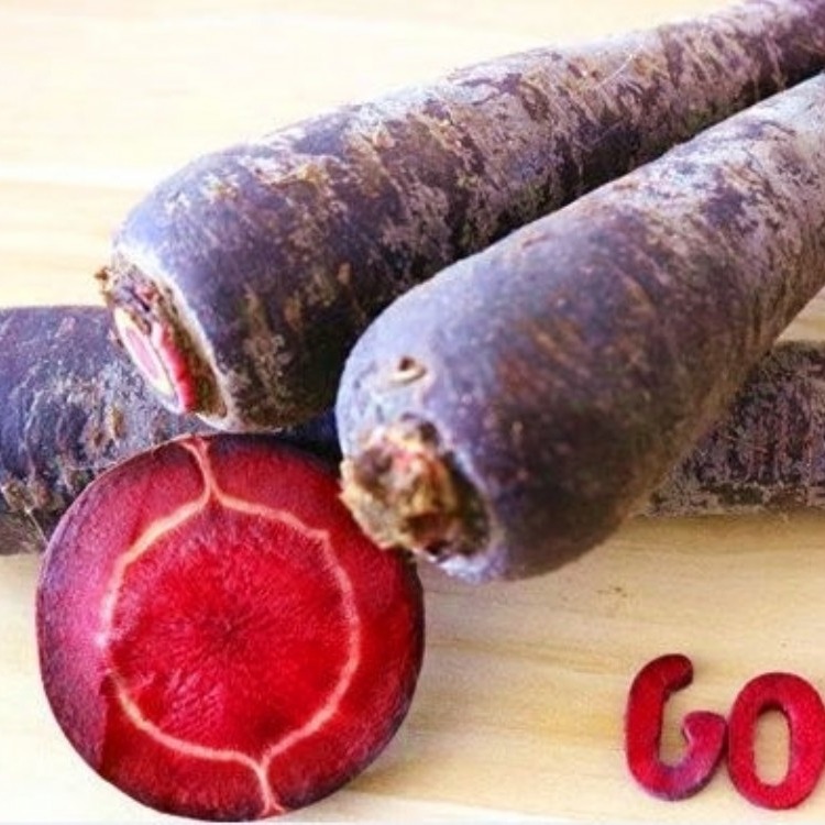 PURPLE CARROT RED COLOR