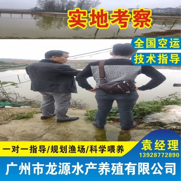 广州市龙源水产养殖有限公司