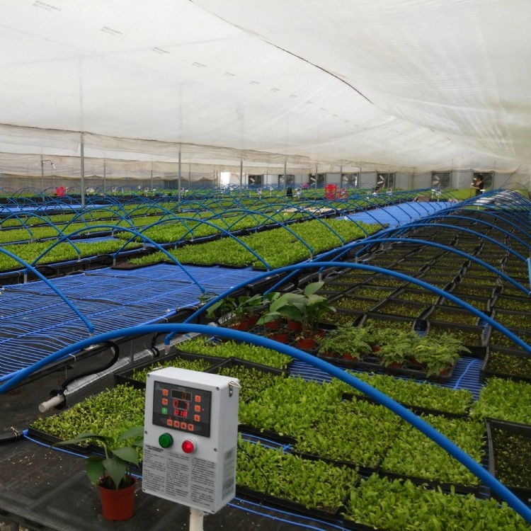 建源温室厂家搭建各类温室大棚智能阳光温室大棚 玻璃温室大棚 蔬菜温室大棚量身定制 保证质量