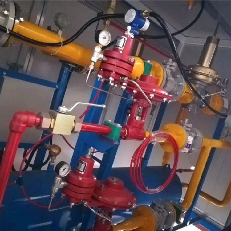 泰燃科技 天然气装置 天然气点供设备 液化气调压撬