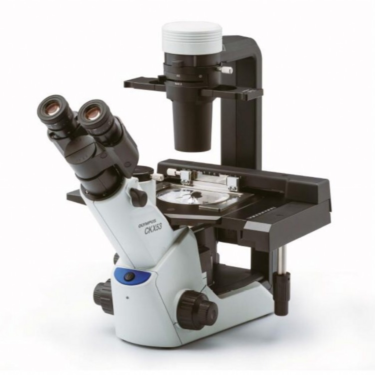 奥林巴斯倒置显微镜CKX53 相差|荧光|三目