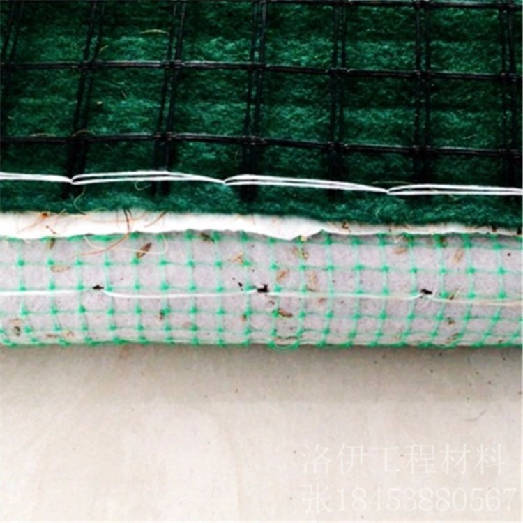 复合一体式椰丝植生毯 安徽厂家直销 抗径流生态植物毯 抗冲刷植生毯 量大批发
