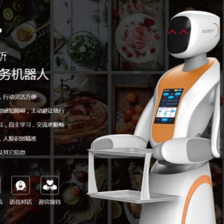 送餐机器人 迎宾机器人厂家直销|加盟