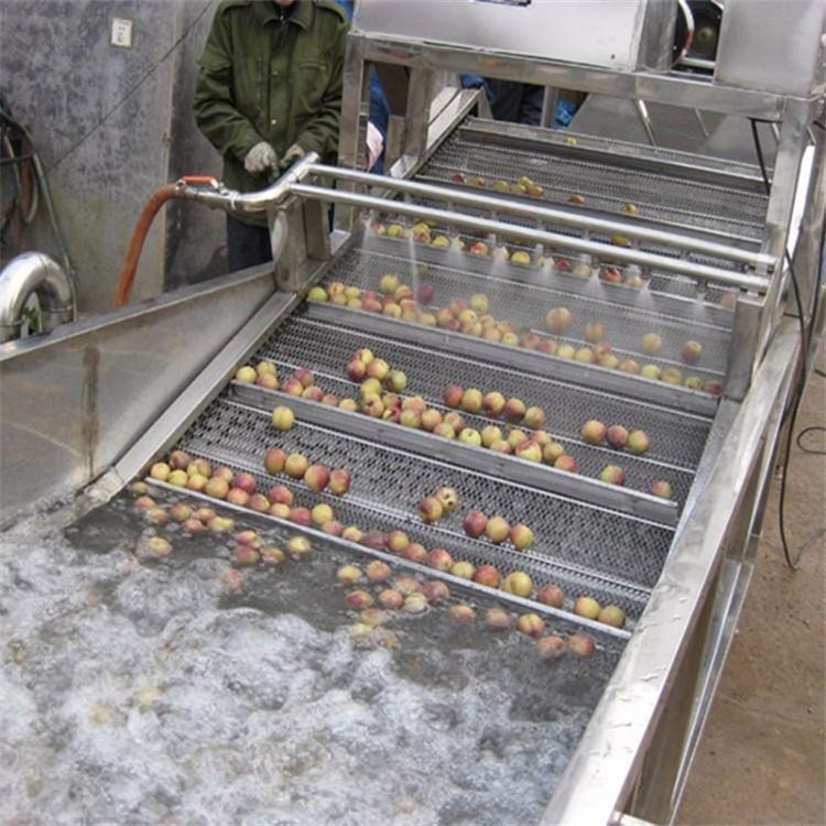 全自动去泥污清洗机 草莓 苹果清洗机械设备 厂家直供可定制