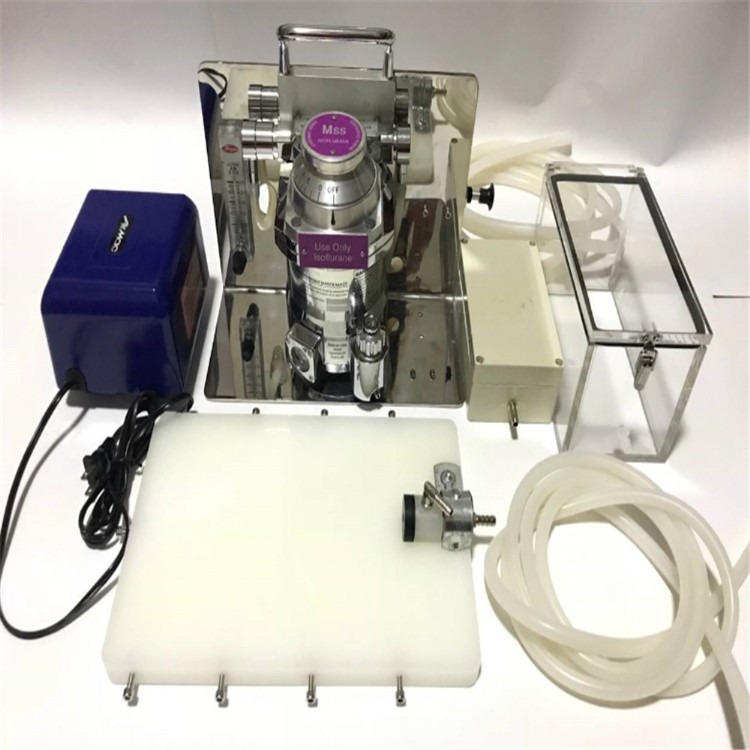 小动物麻醉机 小鼠大鼠麻醉机实验室专用麻醉设备 