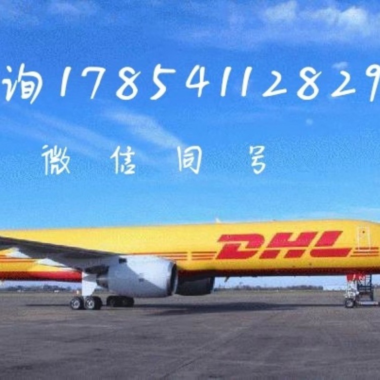 青岛国际快递DHL快递 上门取件 文件包裹