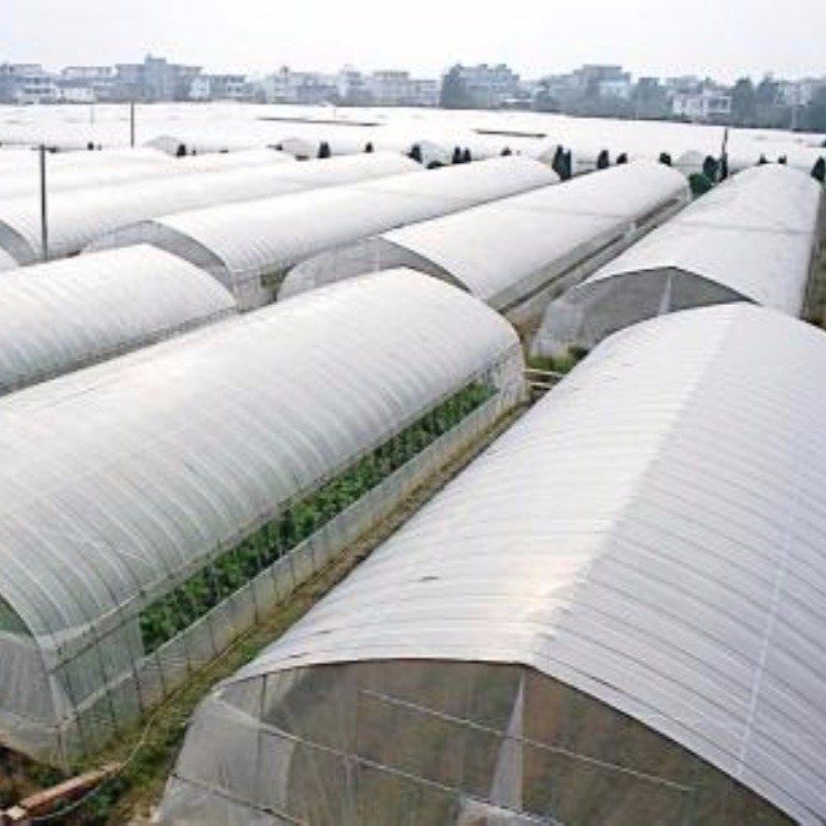 河南五洲农业 大棚骨架  智能蔬菜大棚_大棚厂家  建造温室大棚