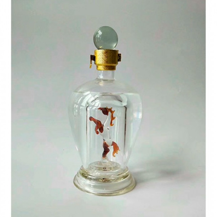 创意玻璃白酒瓶定制内置造型酒瓶