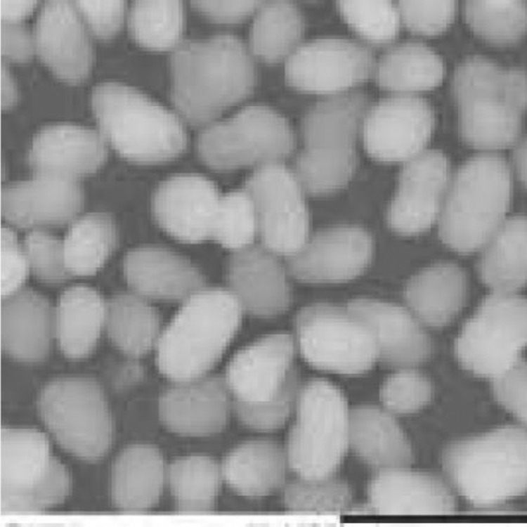 多孔二氧化硅 穿插交联IPN结构硅微粉