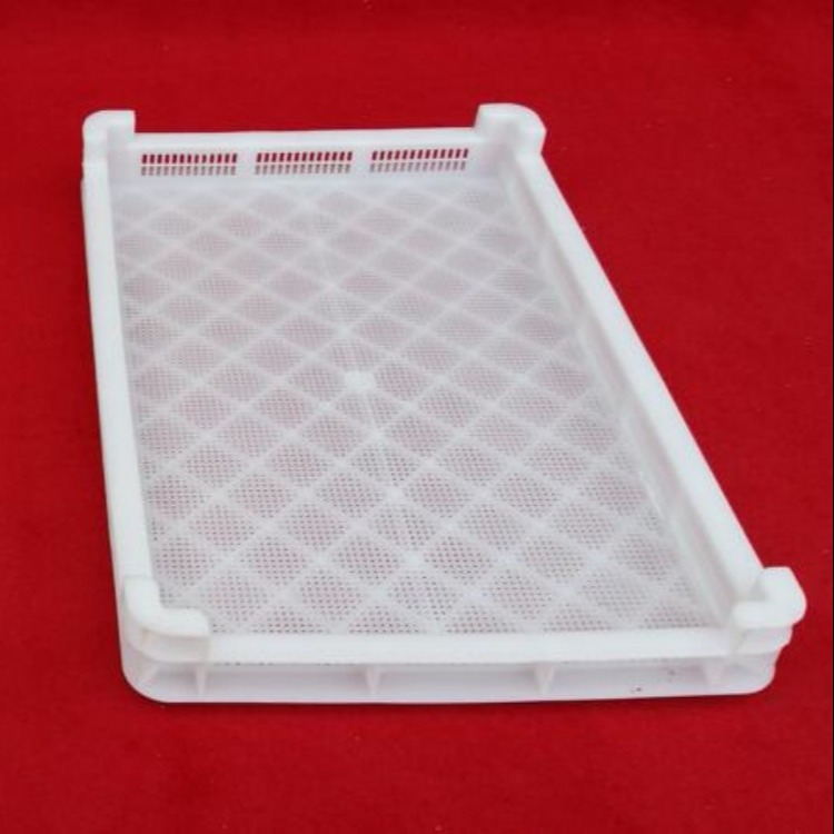广东冷冻盘可免费印字 密眼冷冻盘尺寸 塑料冷冻盘供应
