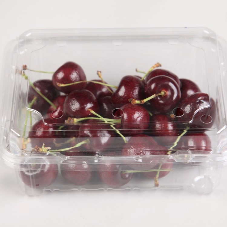 东莞市骏鼎吸塑一次性透明水果连体盒。超市水果店透明水果包装盒
