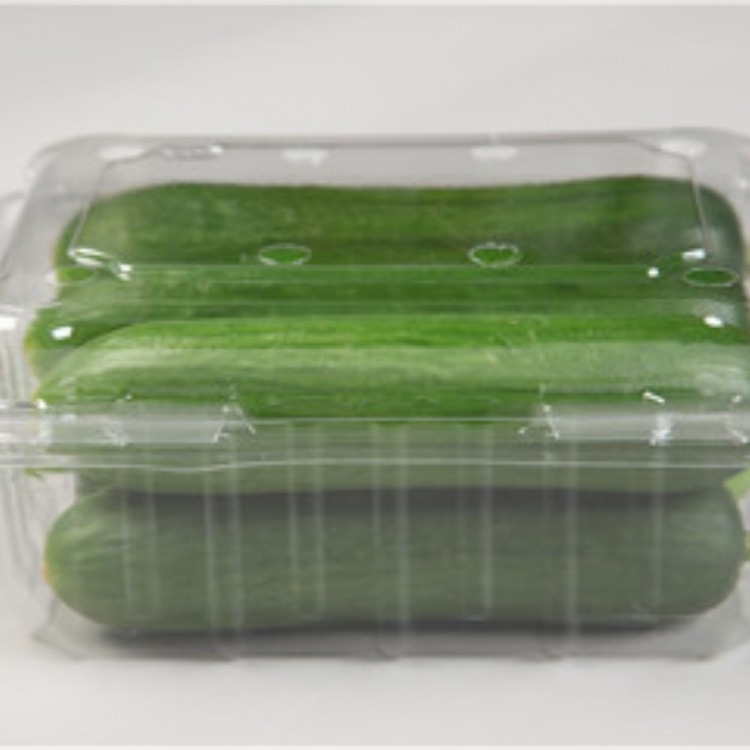 厂家直销一次性水果盒 500g，广东一次性水果盒透明